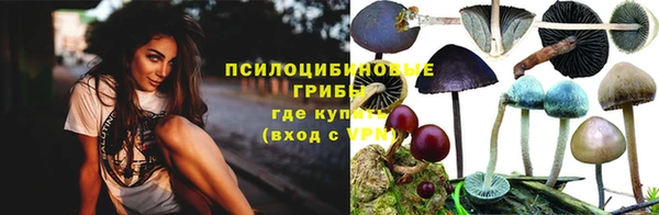 прущие крисы Каменногорск