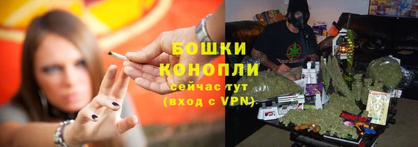 ALPHA-PVP Каменка