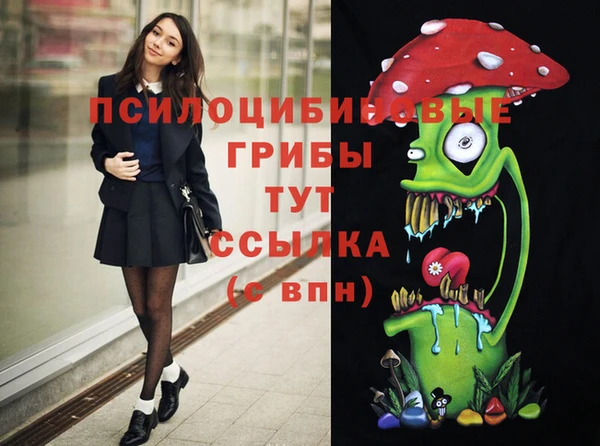 прущие крисы Каменногорск
