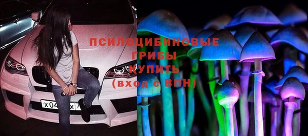 прущие крисы Каменногорск