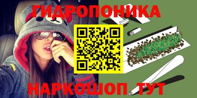 spice Заводоуковск