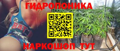 spice Заводоуковск