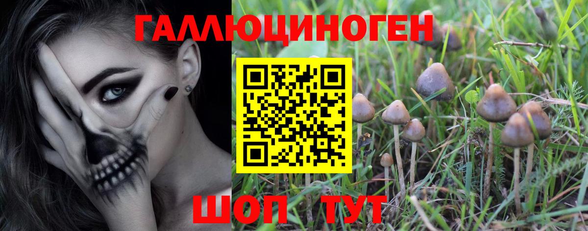 Галлюциногенные грибы Magic Shrooms Еманжелинск